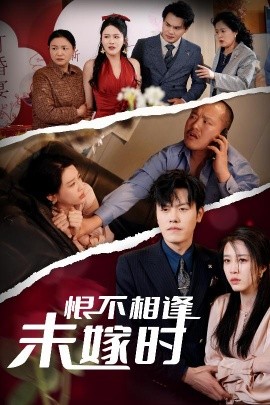 恨不相逢未嫁时2025封面图