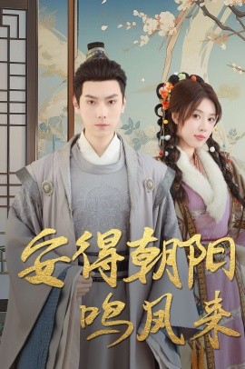 安得朝阳鸣凤来 云鬓绾山河封面图