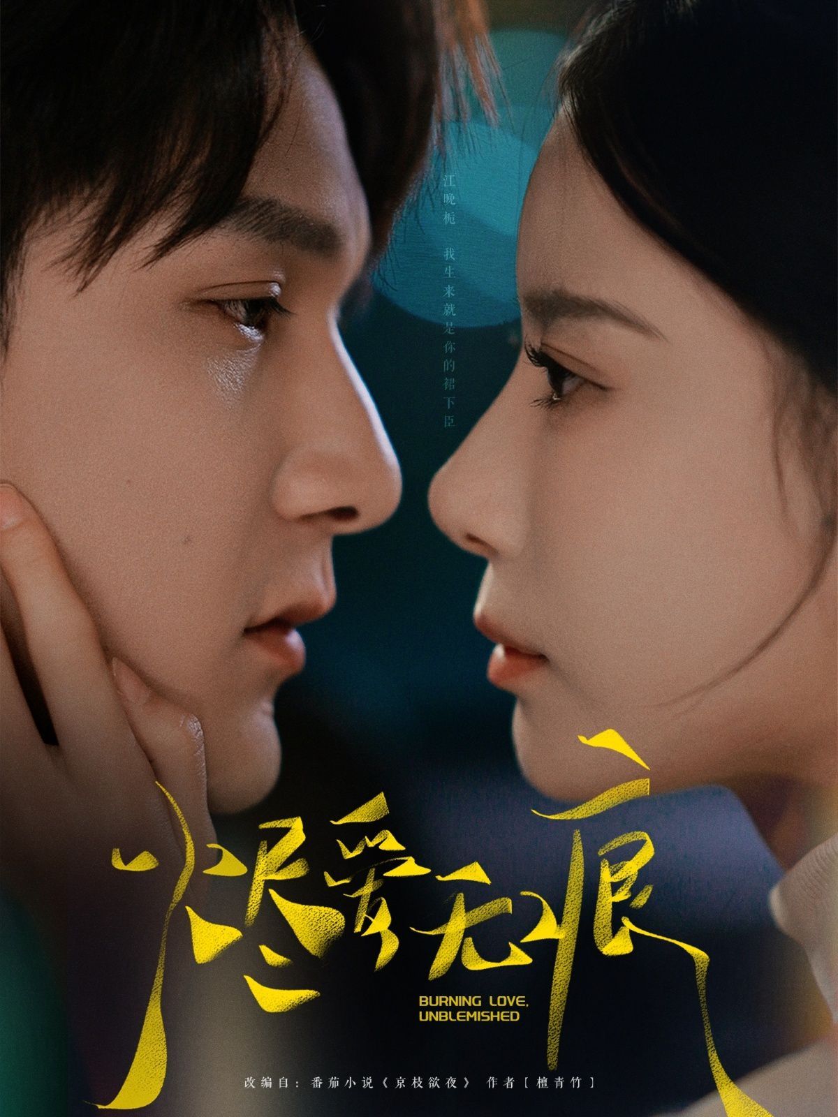 烬爱无痕封面图