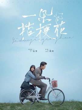 一朵桔梗花封面图