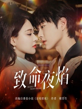 致命夜焰封面图