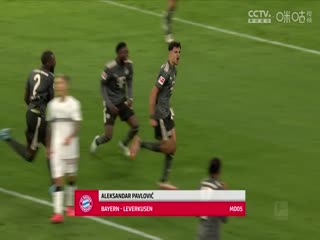 德甲联赛 弗赖堡VS霍芬海姆 20250419封面图