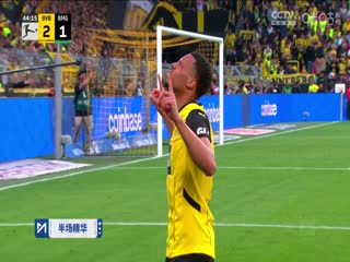 德甲联赛 多特蒙德VS门兴格拉德巴赫 20250420封面图