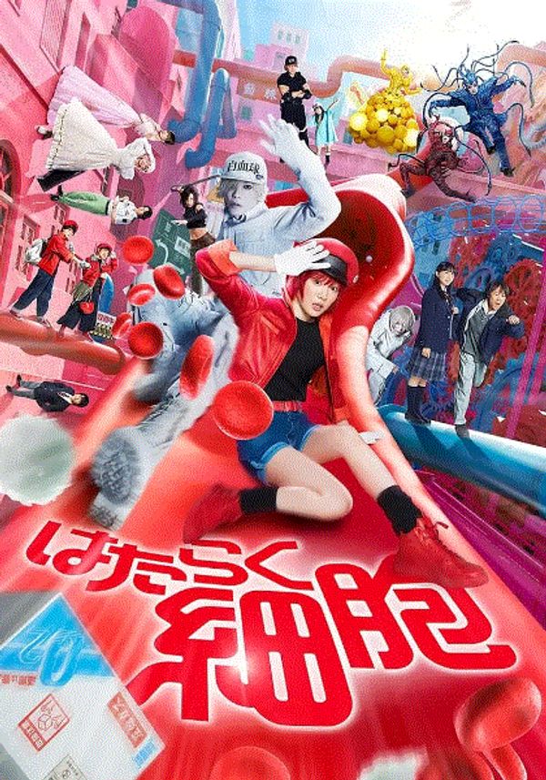 工作细胞真人版封面图