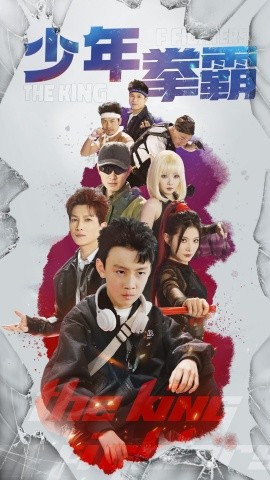 少年拳霸封面图