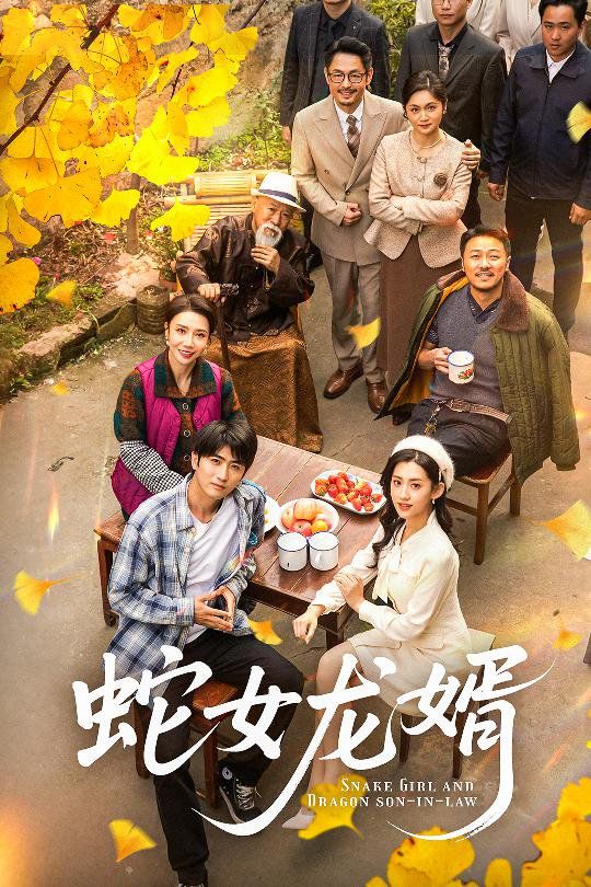 蛇女龙婿（不负韶华不负卿）封面图