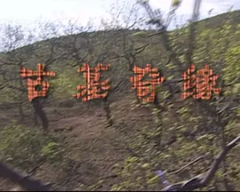 古墓奇缘2009封面图