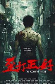 歪打正好封面图