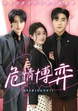 危情博弈封面图