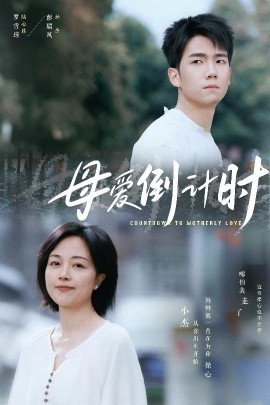 母爱倒计时封面图
