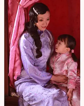 双面佳人2010封面图