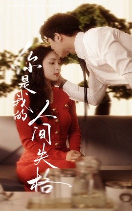 你是我的人间失格封面图