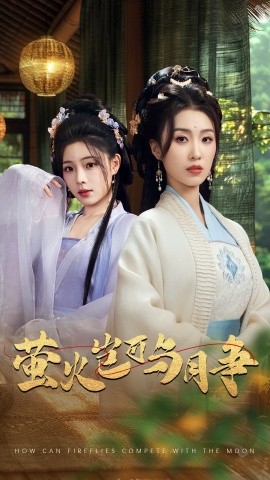 萤火岂可与月争封面图