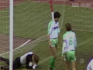 德甲联赛 海登海姆VS波鸿 20250503封面图