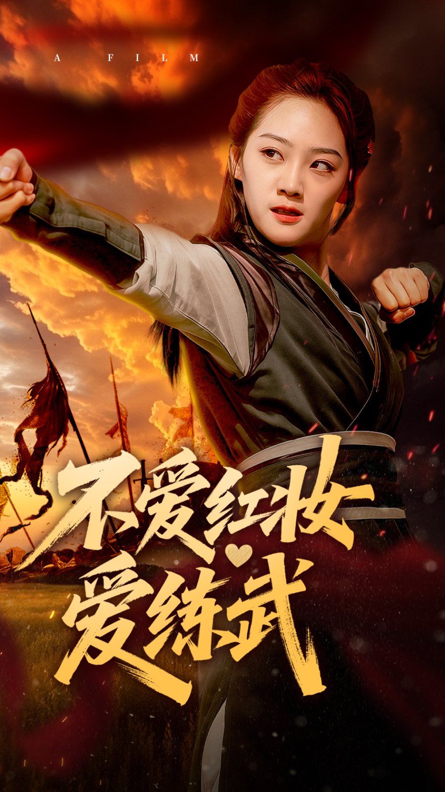 不爱红妆爱练武封面图