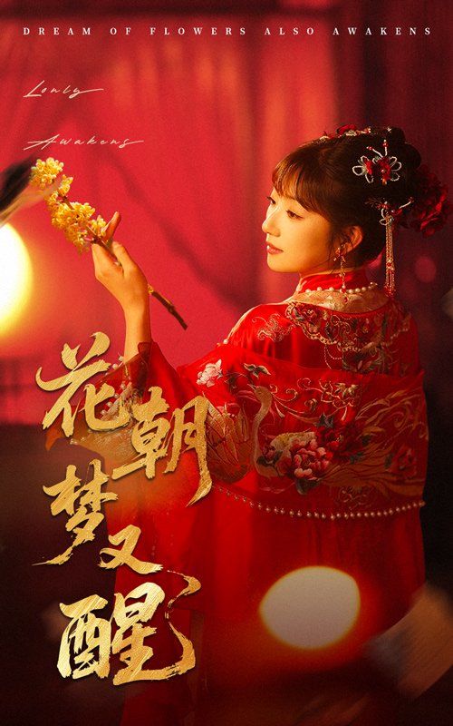 花朝梦又醒封面图