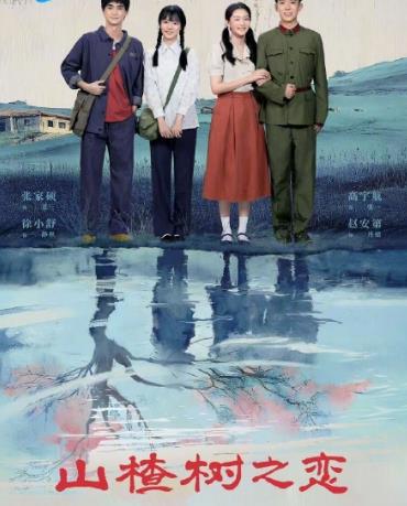 山楂树之恋2025封面图