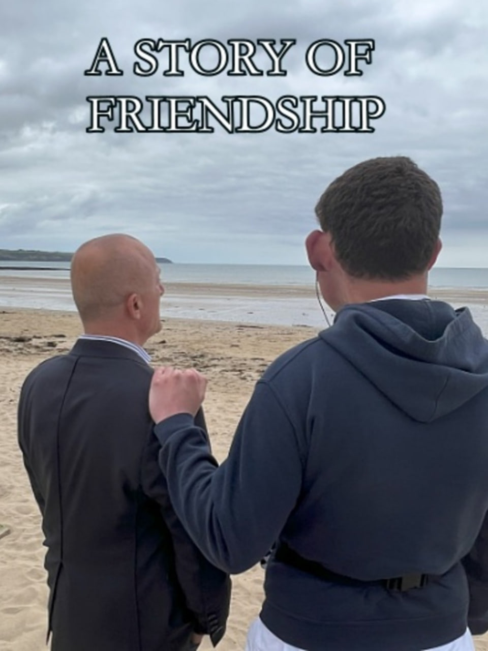 友谊的故事封面图