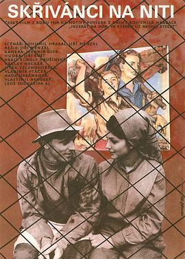 失翼灵雀封面图