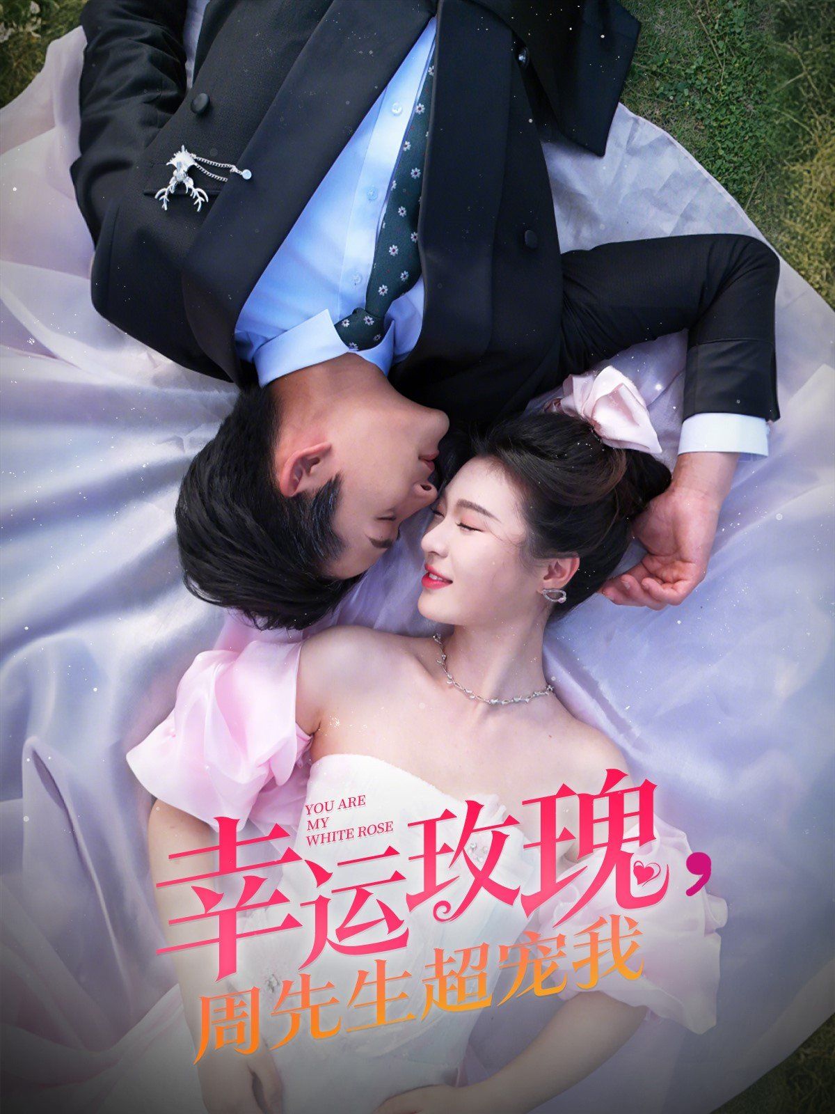 幸运玫瑰周先生超宠我封面图