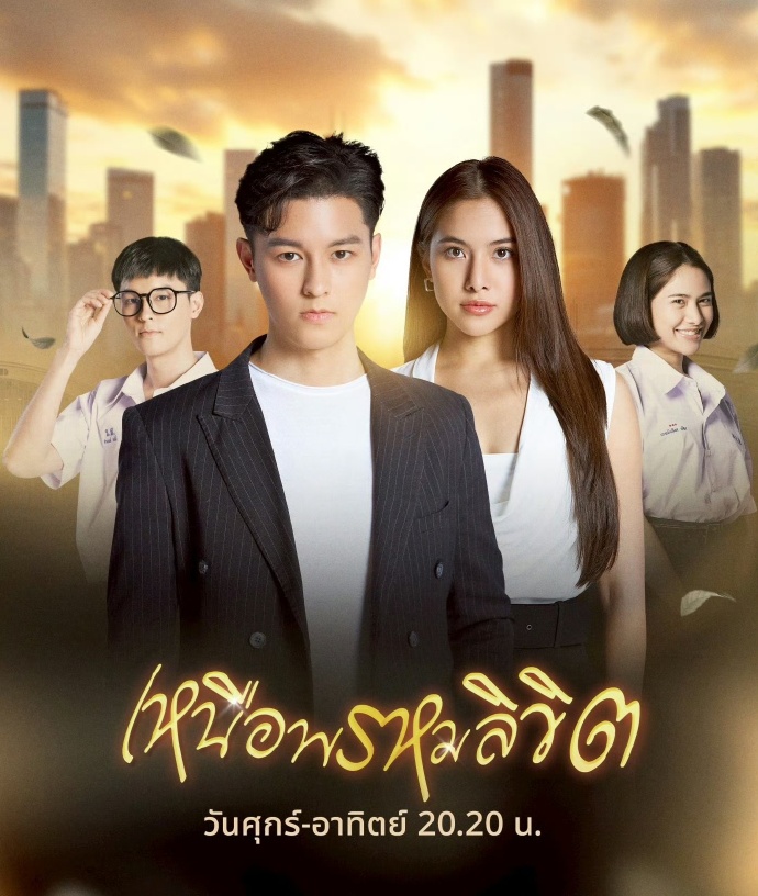 暴风人生封面图