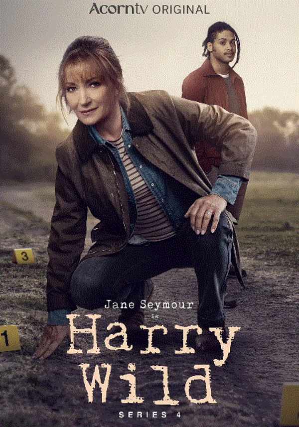 野探哈莉第四季封面图