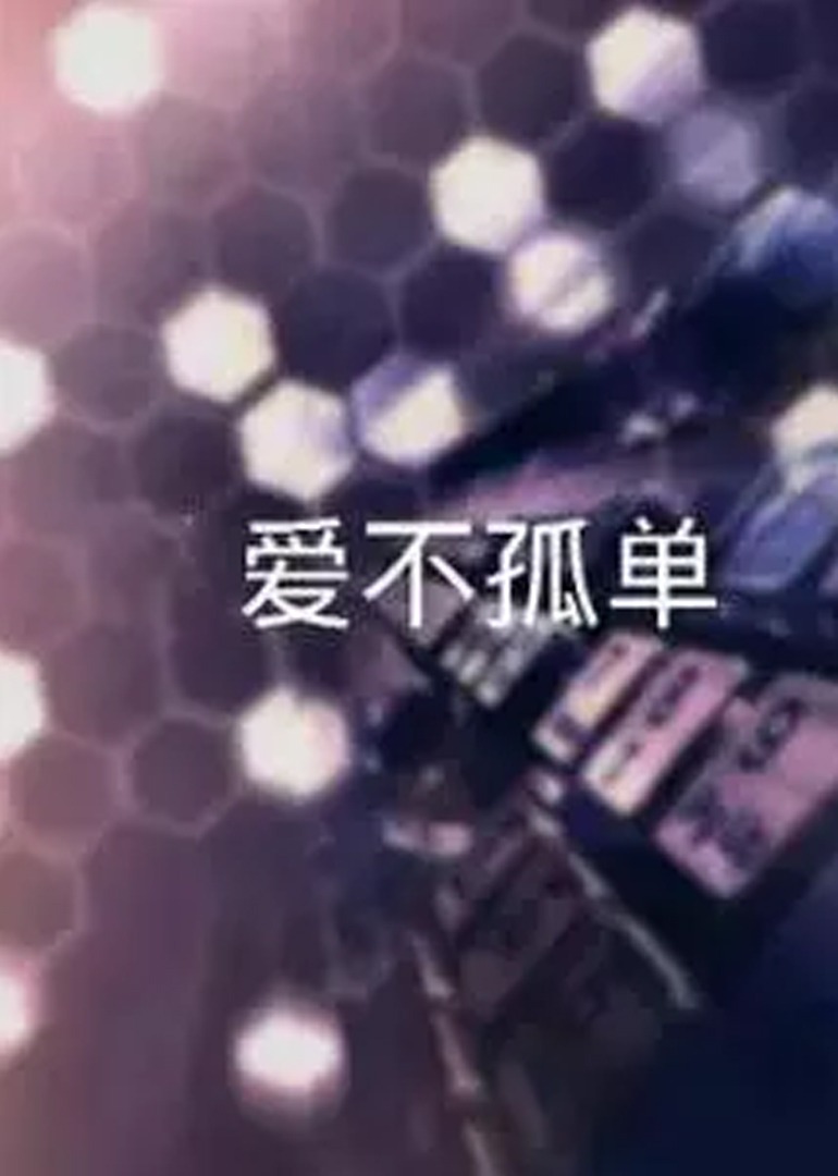 爱不孤单2016封面图