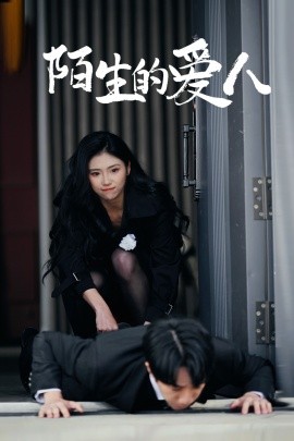 陌生的爱人封面图