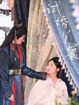 试婚丫鬟封面图