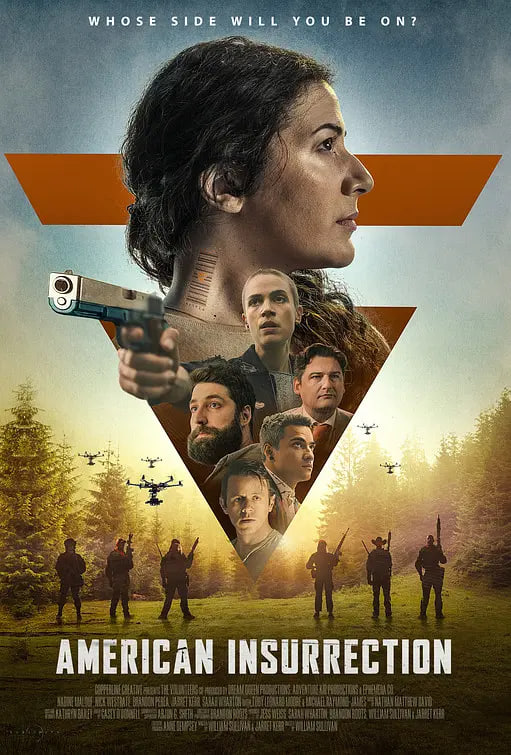 美国起义封面图