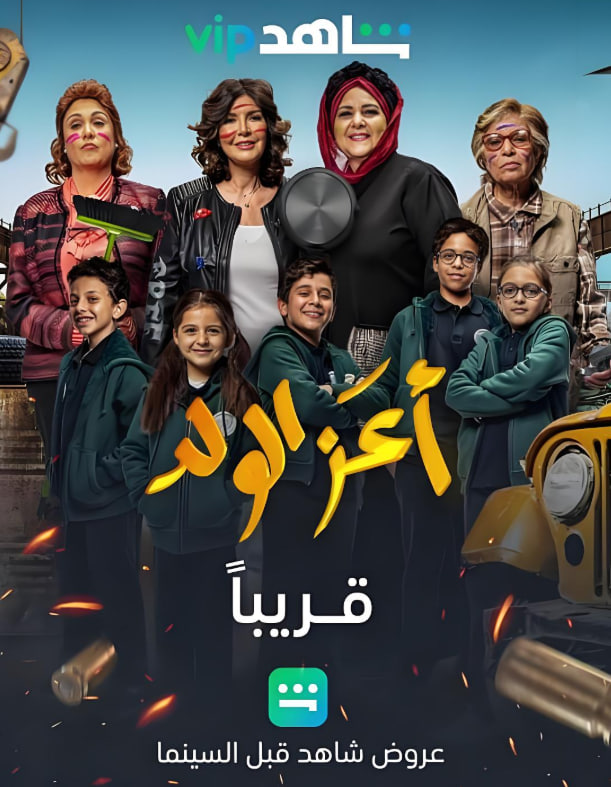 我眼中的宠儿封面图