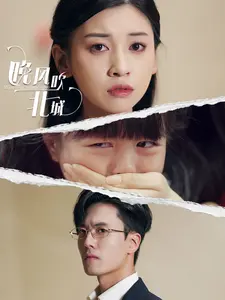 晚风吹北城封面图