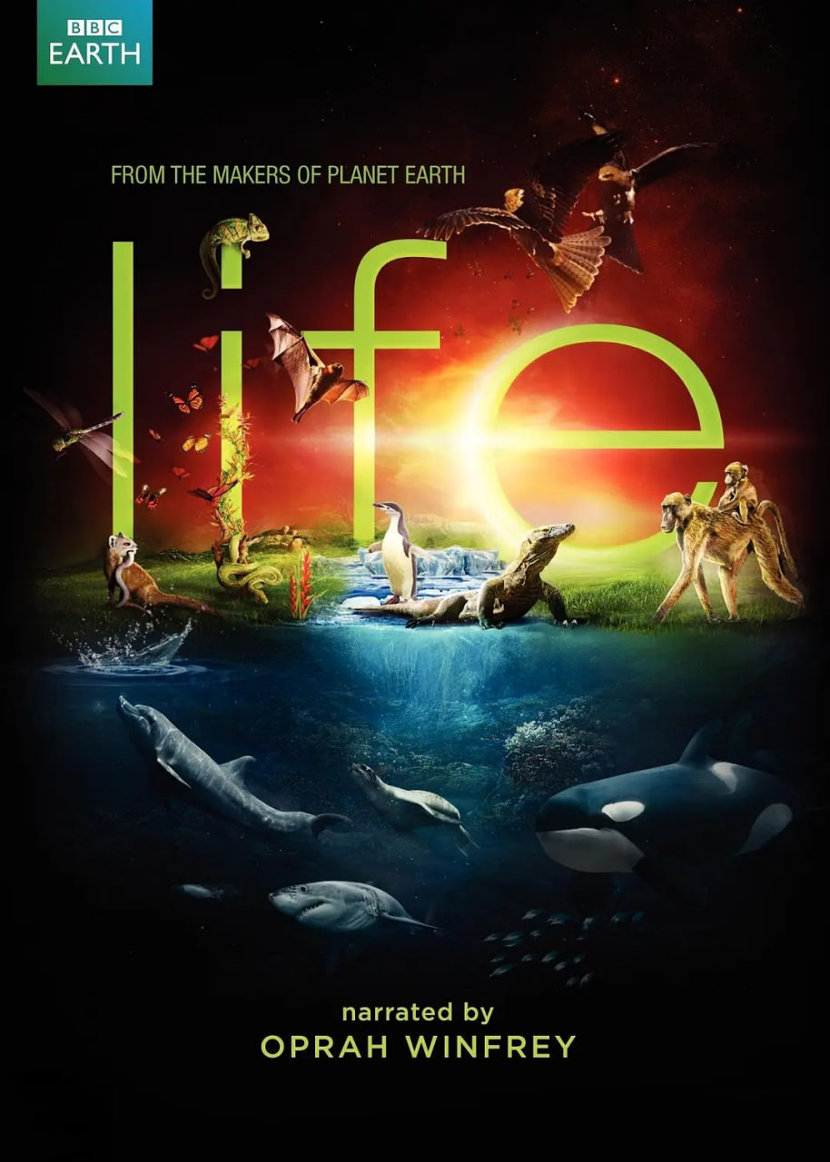 生命 2009封面图