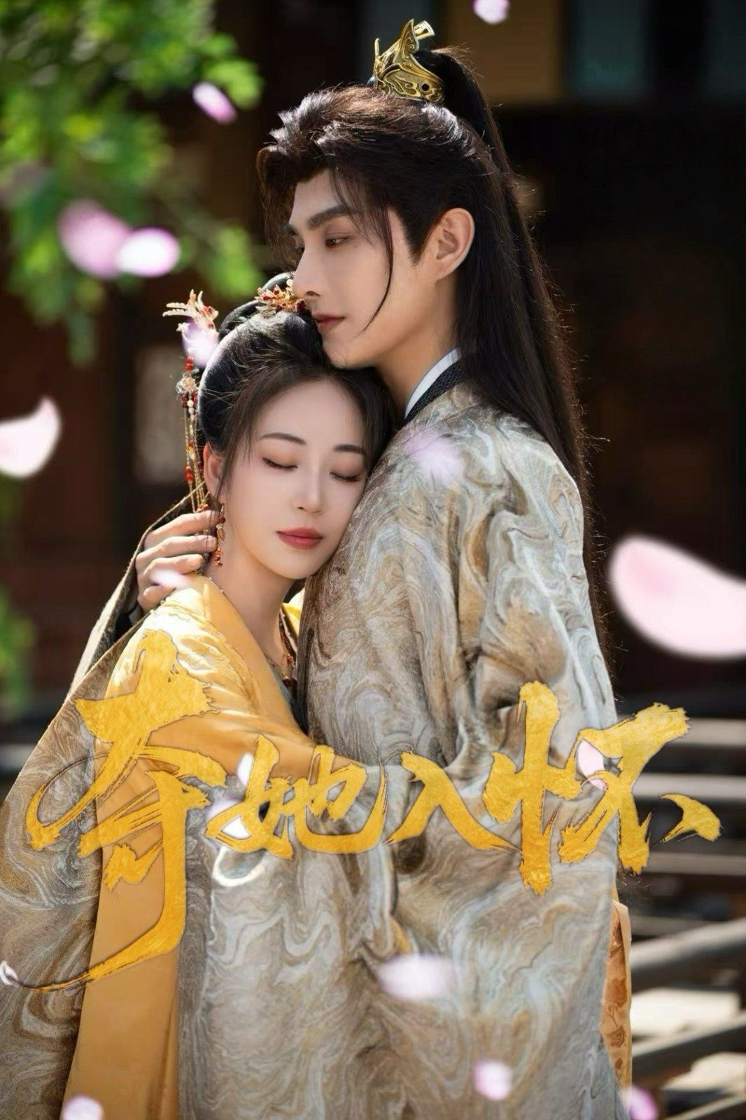 新夺她入怀封面图