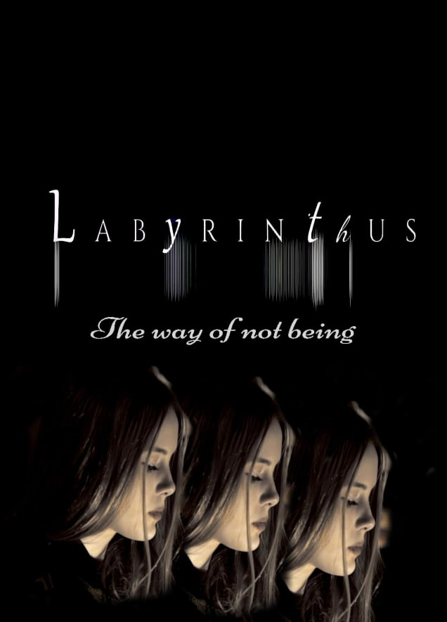 迷宫：不存在的方式封面图