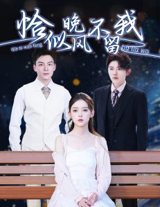 恰似晚风不留我＆弃他如风封面图