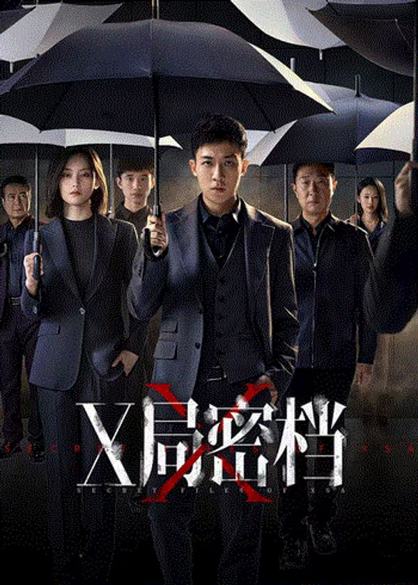 X局密档封面图