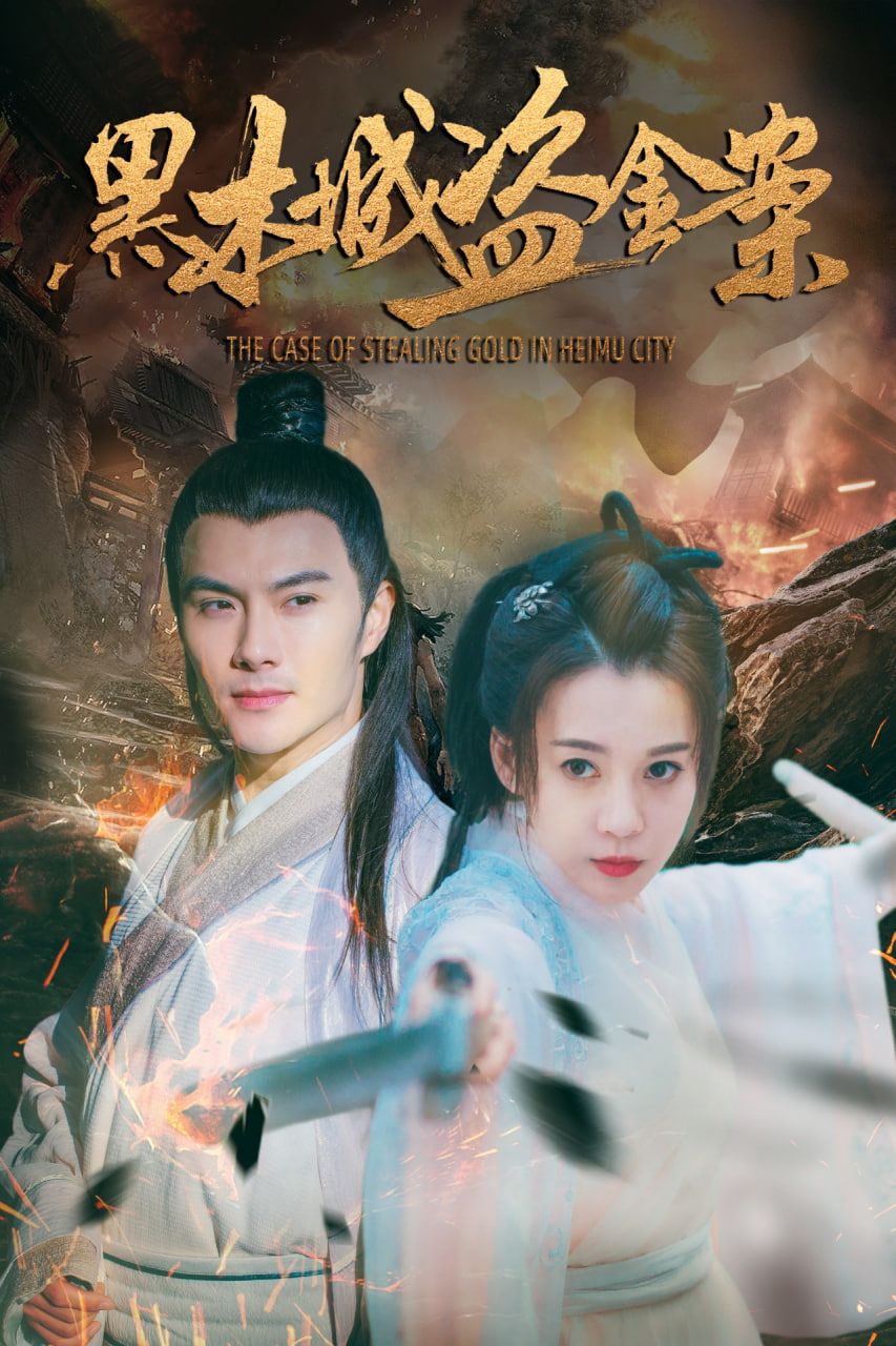 黑木城盗金案封面图