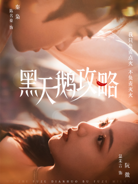 黑天鹅攻略封面图