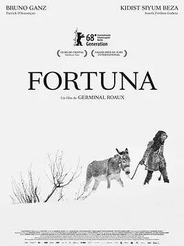 芙朵娜的眼泪封面图