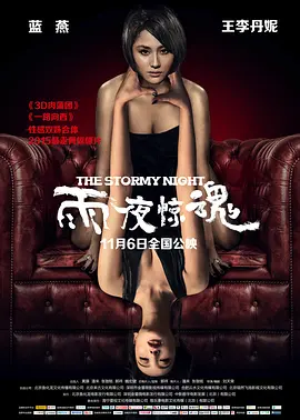 雨夜惊魂2015封面图