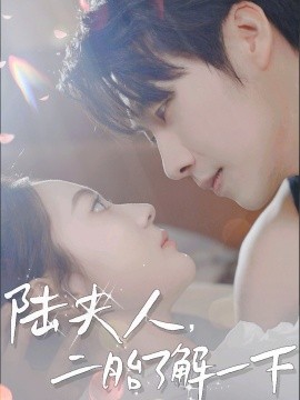 陆夫人，二胎了解一下封面图