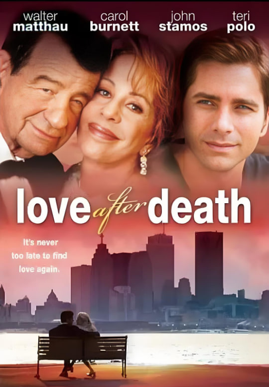 婚姻傻瓜封面图