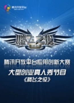 腾飞之役封面图