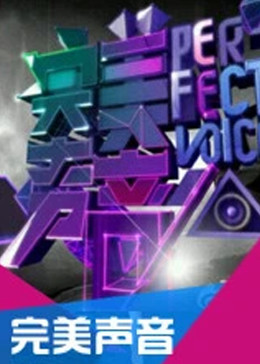 完美声音封面图
