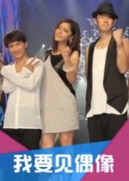 我要见偶像封面图