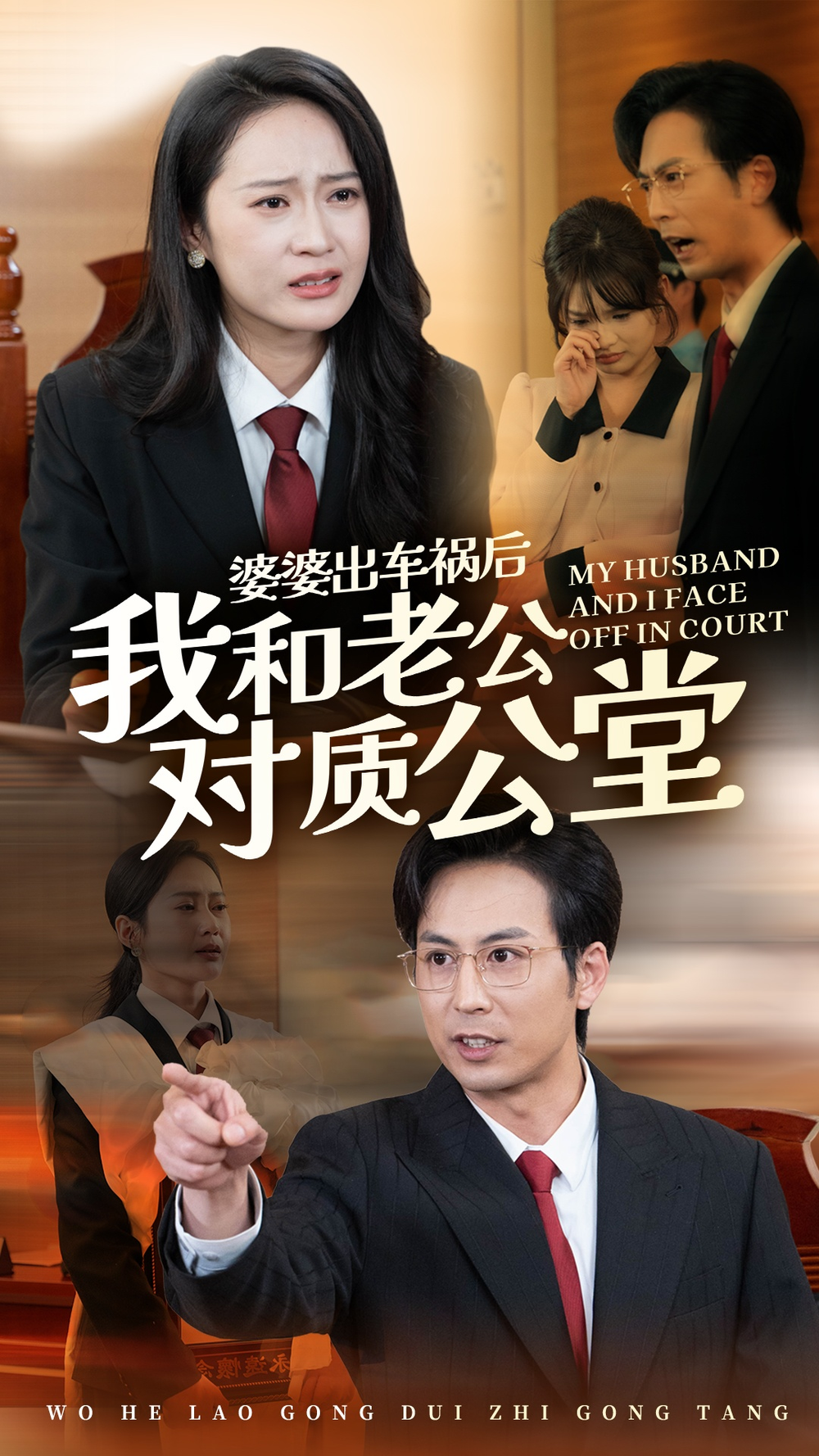 婆出车祸后我和老公对质公堂封面图