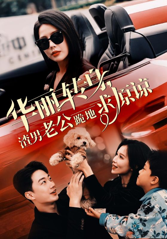 丽转身渣男老公跪地求原谅封面图