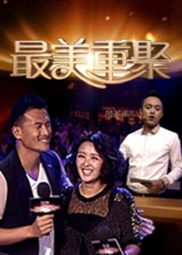 最美重聚封面图