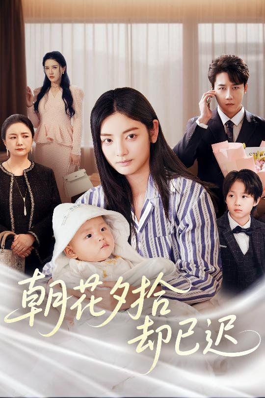 朝花夕拾却已迟封面图